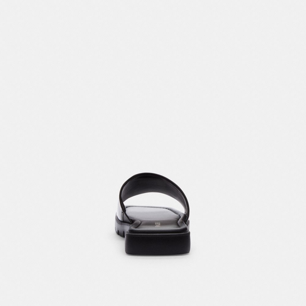 Coach In Black