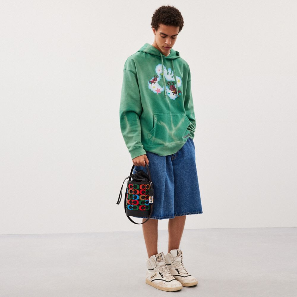 Coach Bucket Bag In Scrappy C Upcrafted Leather In Multi