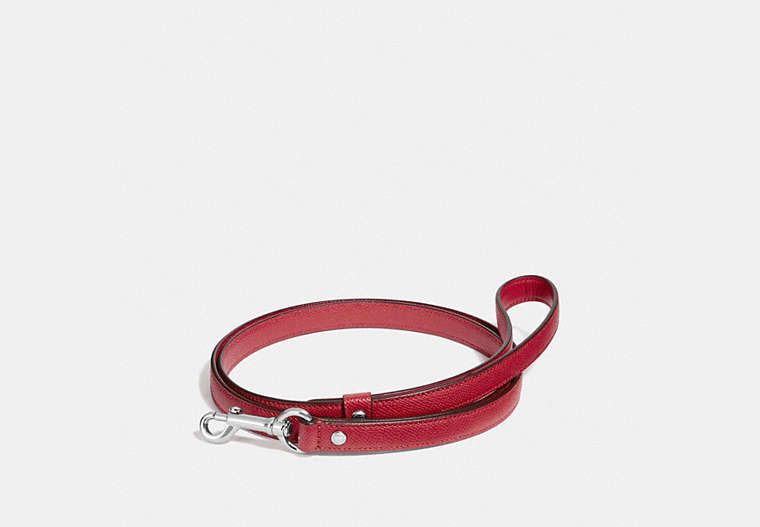 Small Pet Leash image number 0