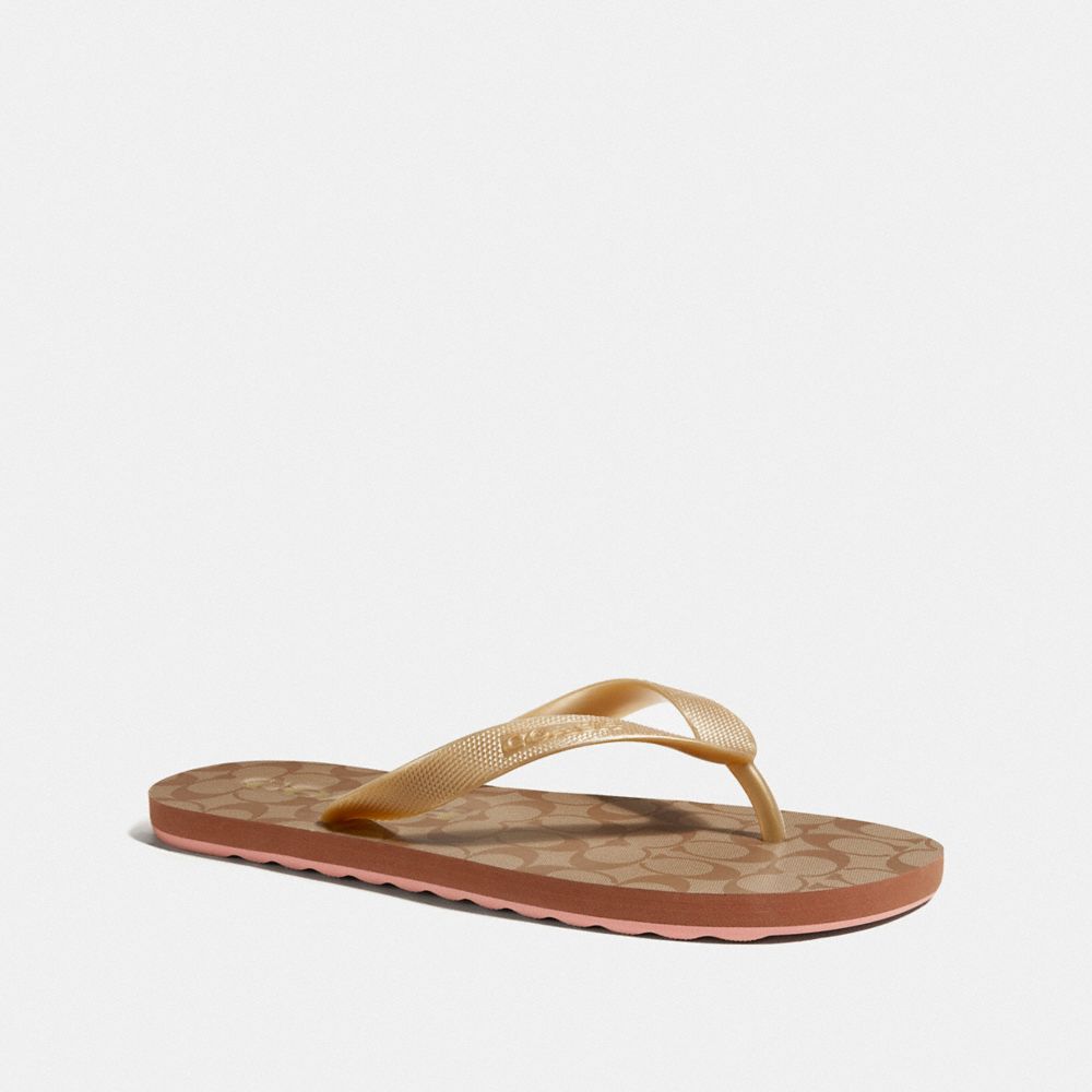 Introducir 60+ imagen coach zak flip flops