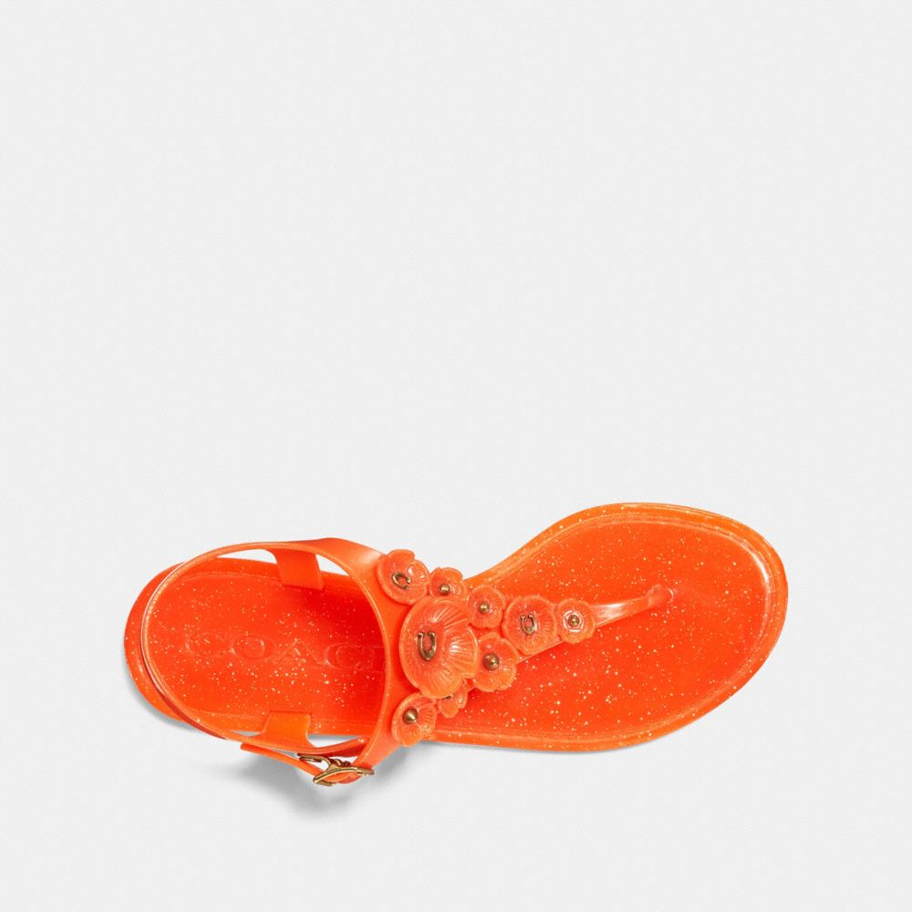 COACH® | Tea Rose Jelly Sandal