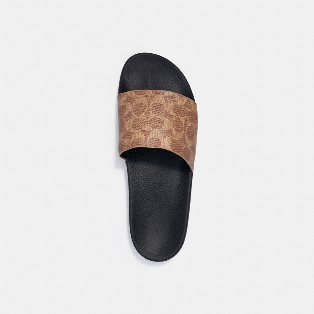 slides brown