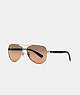 Horse And Carriage Pilot Sunglasses