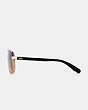 Horse And Carriage Pilot Sunglasses
