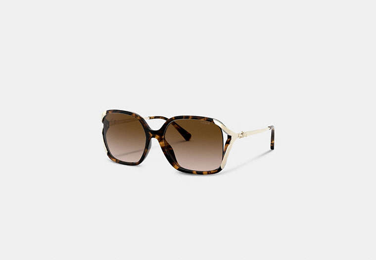 Oversized Horse And Carriage Sunglasses